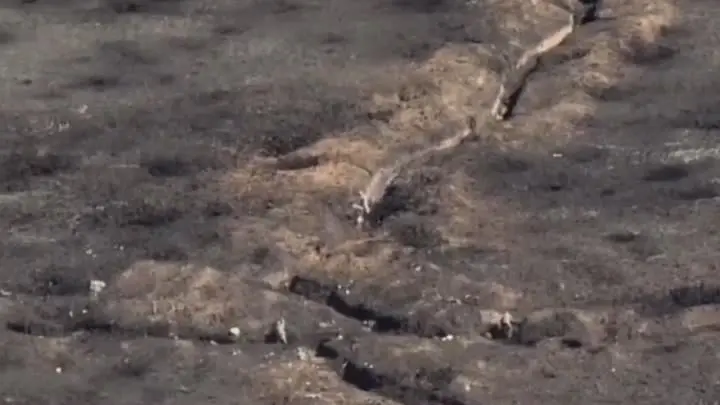 Трагические героические кадры: 2 наших бойца атаковали толпу боевиков ВСУ