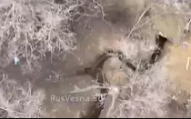 Попытка штурма ВСУ российской позиции "Циклоп" под Бахмутом