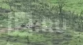 Армия России уничтожает врага у "белых гор" в ЛНР