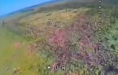 Уничтожение опорного пункта ВСУ FPV-дронами и огнём артиллерии 20 дивизии ВС РФ.