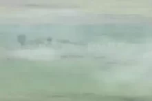 Отражение танкового удара у Орехова на Запорожском фронте