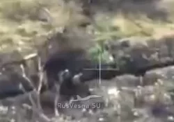 Очередные кадры боев десантников против атакующих их позиции в районе Клещеевки ВСУ