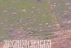 Запорожское направление на 10:00 25.07.2023