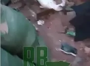 Разведчики "Белых волков" группировки "О" без боя взяли вражеские позиции на Краснолиманском направлении 15.08.2023