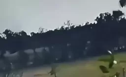 Момент сбития украинского самолета Су-25 у Работино на Запорожском направлении