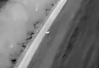 Украинские погранцы уже ловят беглецов из страны с помощью дронов с тепловизорами