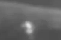 Массовая сдача в плен: Украинские военнослужащие 110-й бригады сдались российским силам