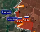 «Отважные» взяли Восход и Сокол, берут Евгеновку в клещи, подходят к Прогрессу и Новоселовке Первой