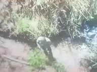 Военные ВСУ сдаются в плен в боях у Работино, чтобы выжить