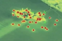 «Искандер» против «IRIS-T»: армия России показала уничтожение немецкой ЗРК