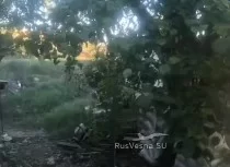 Бои у Работино: «Гепарды» уничтожают врага на Запорожском фронте