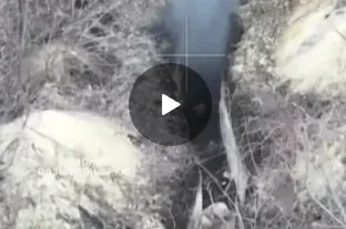 Эпизод боя на Краснолиманском направлении